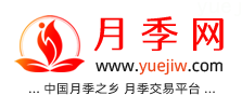 中国上海龙凤419，月季品种介绍和养护知识分享专业网站(图1)