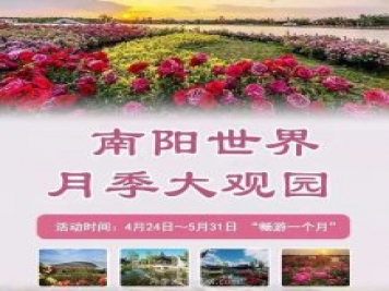 第十二届南阳月季花会4月29日开幕，活动丰富多彩