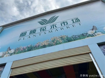鄢陵县花木产业未必能想到的那些问题