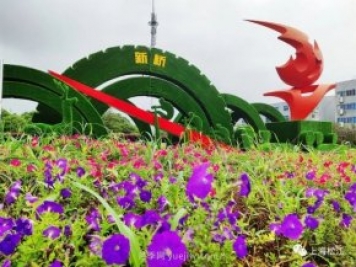 上海松江这里的花坛、花境“上新”啦!特色景观升级!