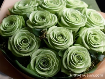 苏格兰复古绿玫瑰，绿色魅力的神秘诠释