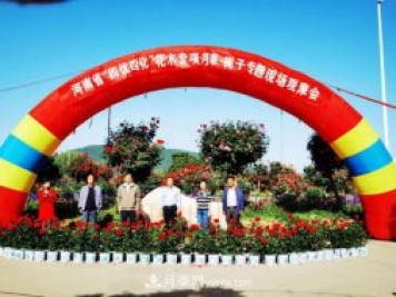 河南省四优四化项目 助推南阳月季、栀子产业发展