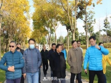 提升城市园林绿化，苏州向上海学什么？